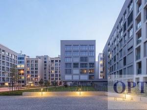 Pronájem bytu 2+kk, Praha - Karlín, Breitfeldova, 63 m2