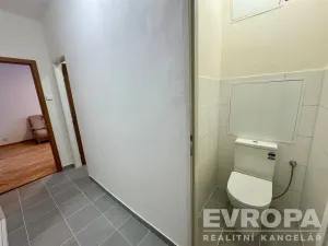 Pronájem bytu 2+1, Plzeň - Východní Předměstí, Francouzská třída, 56 m2