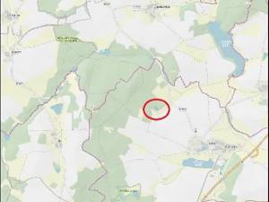 Prodej lesa, Ústrašín, 1179 m2