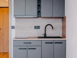 Pronájem bytu 1+kk, Brno, Čechyňská, 28 m2