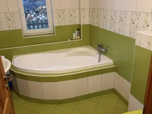 Pronájem rodinného domu, Domamil, 80 m2