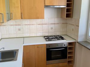 Pronájem bytu 1+1, Zlín, Mokrá II, 46 m2