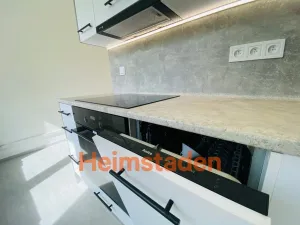Pronájem bytu 1+1, Ostrava - Výškovice, Šeříková, 39 m2