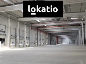 Pronájem skladu, Bílina, 13400 m2