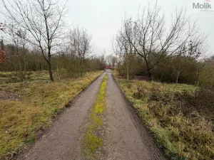 Prodej komerčního pozemku, Zabrušany, 15490 m2