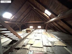 Prodej chaty, Teplá - Staré Sedlo, 400 m2