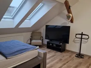 Pronájem bytu 1+kk, Třešť, Nádražní, 50 m2