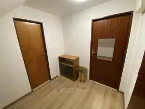 Pronájem bytu 1+kk, České Budějovice, E. Beneše, 43 m2