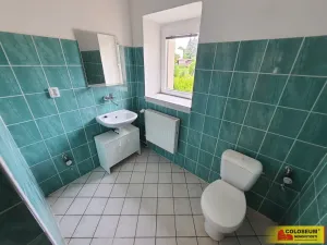 Pronájem bytu 1+kk, Studnice, 19 m2