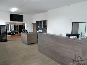 Pronájem komerční nemovitosti, Kladno, Smetanova, 170 m2
