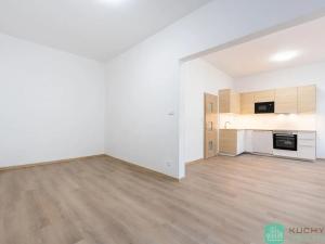 Pronájem bytu 2+1, Teplice, 28. října, 50 m2