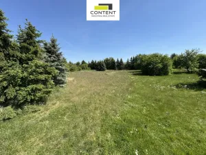 Prodej výrobních prostor, Praha - Točná, Branišovská, 26545 m2