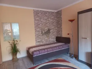 Pronájem bytu 1+1, Ostrava, Proskovická, 40 m2