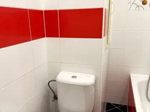 Pronájem bytu 1+kk, Karlovy Vary - Bohatice, Kpt. Nálepky, 20 m2