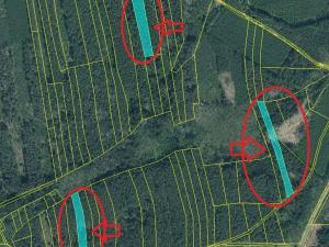 Prodej lesa, Čermná, 9742 m2