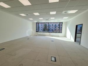 Pronájem kanceláře, Brno, Botanická, 1800 m2