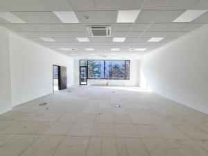 Pronájem kanceláře, Brno, Botanická, 1800 m2