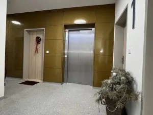 Pronájem bytu 2+kk, Brno - Komín, Podveská, 59 m2