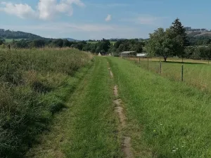 Prodej pozemku pro bydlení, Zlaté Hory, 2478 m2