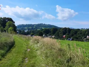 Prodej pozemku pro bydlení, Zlaté Hory, 2674 m2