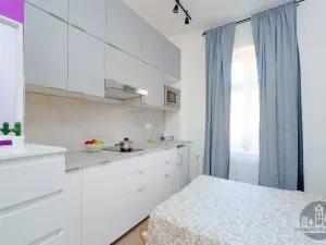 Pronájem bytu 1+kk, Praha - Nusle, Čestmírova, 16 m2