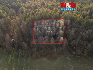 Prodej lesa, Týniště nad Orlicí - Štěpánovsko, 1042 m2