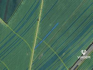 Prodej podílu pole, Nedakonice, 510 m2