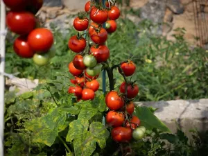 Prodej rodinného domu, Bžany, 240 m2