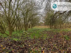 Prodej pozemku, Libina, 7132 m2