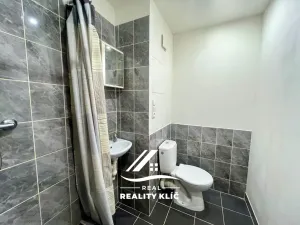 Pronájem bytu 1+kk, Opava, Ratibořská, 21 m2