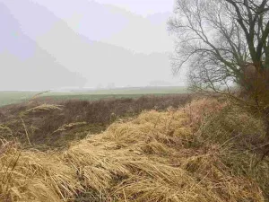 Prodej pole, Ctidružice, 58835 m2