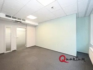 Pronájem kanceláře, Praha - Vinohrady, Šafaříkova, 131 m2