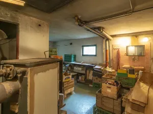 Prodej chaty, Petrov, Na dolích, 271 m2