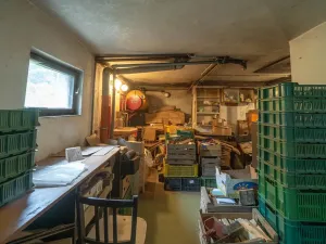 Prodej chaty, Petrov, Na dolích, 271 m2