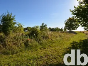 Prodej pozemku pro bydlení, Toužim, 8027 m2