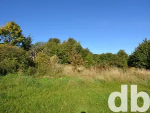 Prodej pozemku pro bydlení, Toužim, 8027 m2