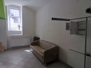 Prodej obchodního prostoru, Praha, Wenzigova, 52 m2