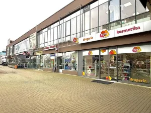 Pronájem obchodního prostoru, České Budějovice, Fr. Ondříčka, 567 m2