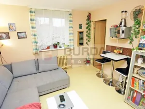 Prodej bytu 1+1, Neratovice, 28 m2