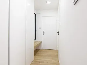 Pronájem bytu 1+kk, Ostrava, Gen. Janouška, 27 m2