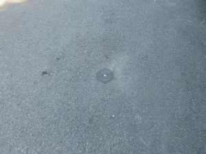 Dražba pozemku, Pyšely, 77 m2