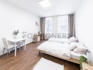Pronájem bytu 1+kk, Brno, Bratislavská, 32 m2