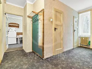 Prodej bytu 2+1, Ostrov, Krušnohorská, 68 m2