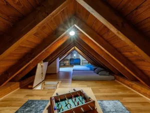 Prodej obchodního prostoru, Borotín - Kamenná Lhota, 194 m2