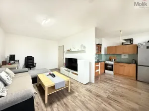 Pronájem bytu 2+1, Osek, Hrdlovská, 52 m2