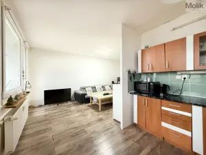 Pronájem bytu 2+1, Osek, Hrdlovská, 52 m2