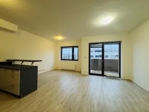 Pronájem bytu 1+kk, Brno - Slatina, Kigginsova, 42 m2