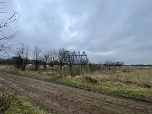 Prodej pole, Veselí nad Moravou, 3405 m2