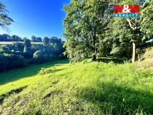 Prodej louky, Teplice nad Metují - Horní Teplice, 5449 m2