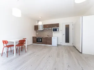 Pronájem bytu 1+kk, Praha - Záběhlice, Klapálkova, 32 m2